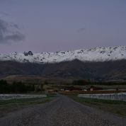 Amisfield Central Otago Sauvignon Blanc 2024