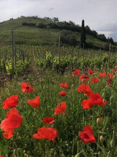 Ferraton Vin de France 'LA TOURNÉE' GRENACHE-SYRAH 2021
