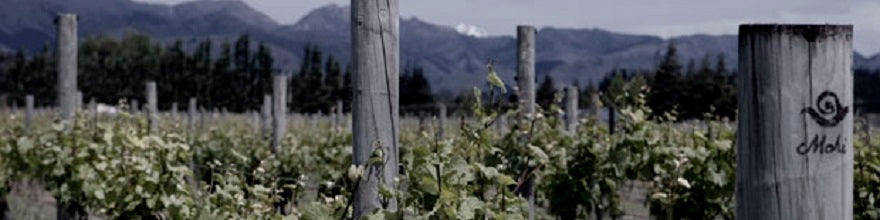 Mahi 'Twin Valleys' Chardonnay 2022