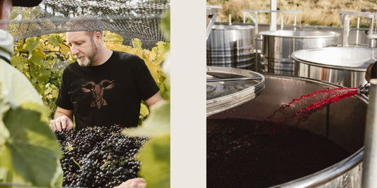 Central Otago Pinot Noir: A Winemaker's Perspective