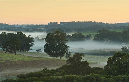 Cape Mentelle Chardonnay 2022