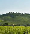 Gustave Lorentz Crémant d&#39;Alsace Brut NV