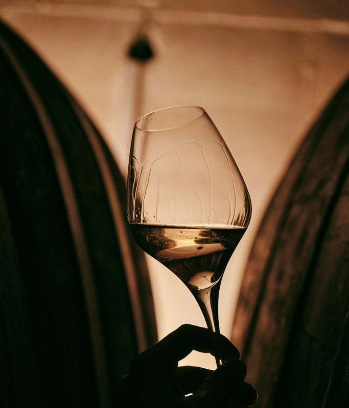 A glass of Domaine Christian Moreau Chablis in the cellar