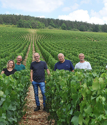 The Domaine Christian Moreau team in the vineyard, Chablis