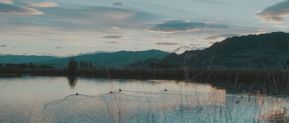 Amisfield Brut Methode Traditionelle 2022